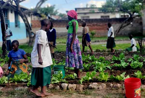 Climate Guardian Club members at a CODEWA partner school in Tabora