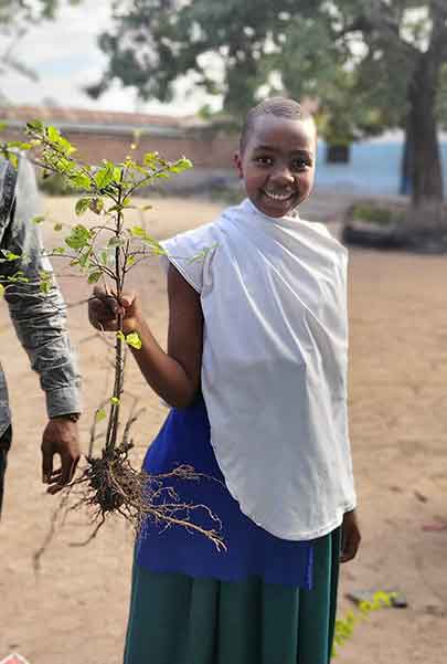 A student tending a fruit tree at a CODEWA partner school in Tabora, Tanzania